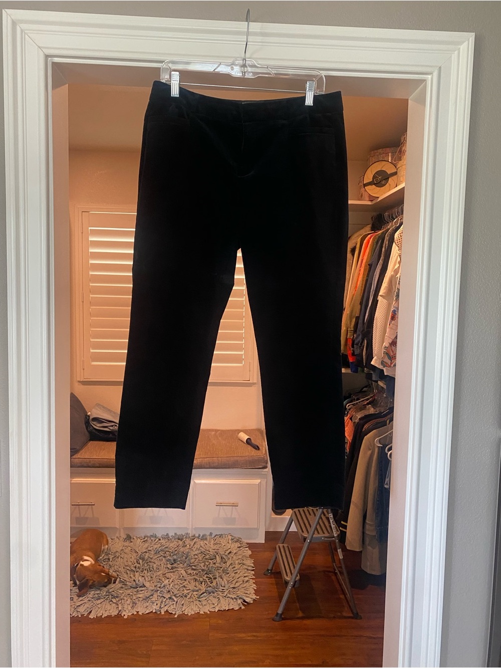 Banana Republic Black Women's Velvet Trousers